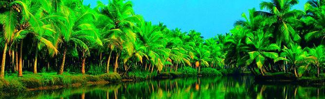 Chaandhni Lake View Ξενοδοχείο Alappuzha Εξωτερικό φωτογραφία
